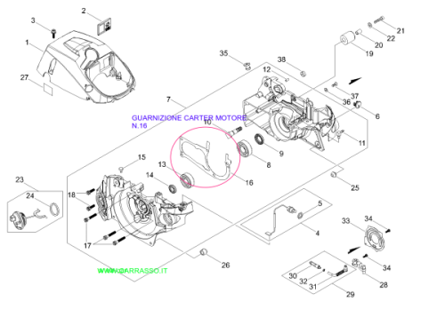 GUARNIZIONECARTERMOTORE501SX