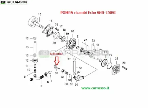 alberino_pompa_shr150-echo-carrasso