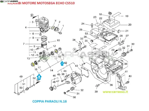 coppia_paraolics510