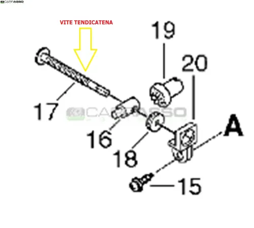 vitetendicatena